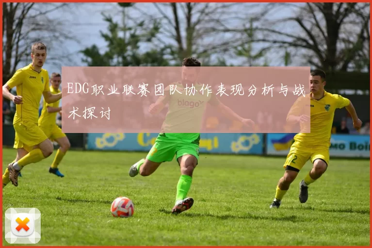 EDG职业联赛团队协作表现分析与战术探讨