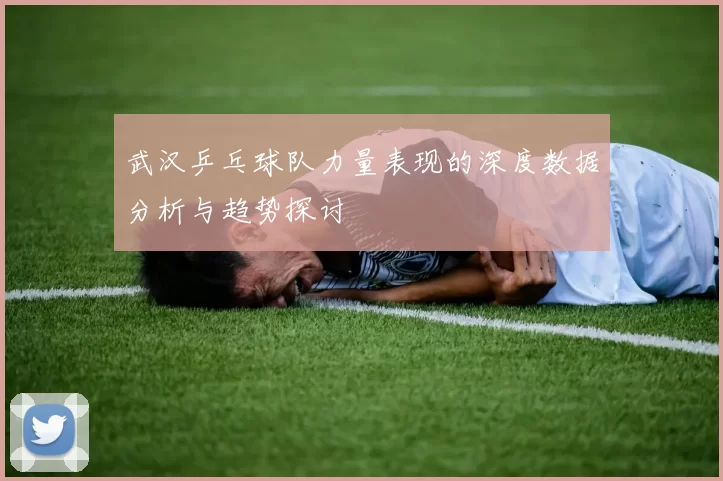武汉乒乓球队力量表现的深度数据分析与趋势探讨