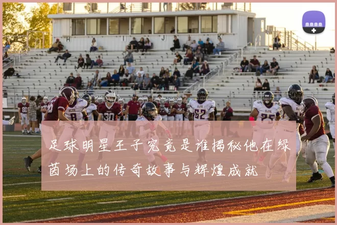 足球明星王子究竟是谁揭秘他在绿茵场上的传奇故事与辉煌成就