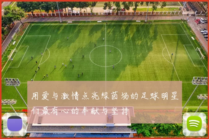用爱与激情点亮绿茵场的足球明星们最有心的奉献与坚持