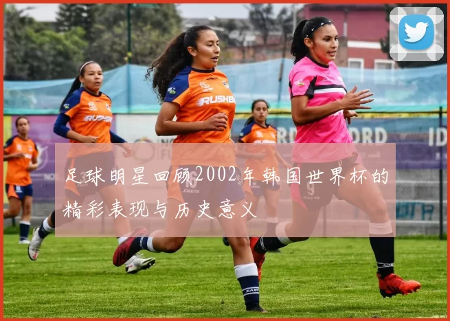 足球明星回顾2002年韩国世界杯的精彩表现与历史意义