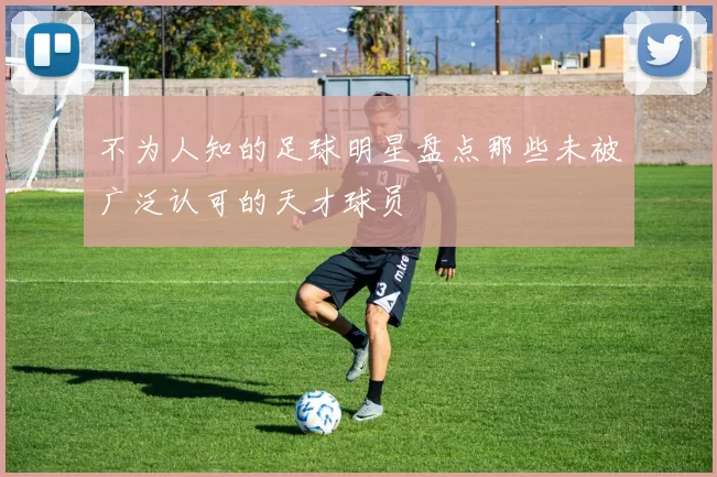 不为人知的足球明星盘点那些未被广泛认可的天才球员
