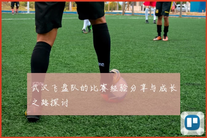 武汉飞盘队的比赛经验分享与成长之路探讨