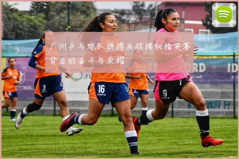 广州乒乓球队拼搏历程揭秘精英赛背后的奋斗与荣耀