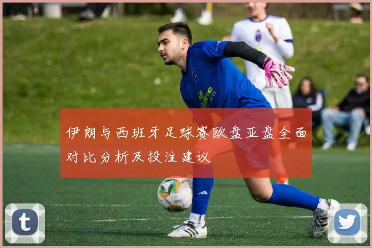 伊朗与西班牙足球赛欧盘亚盘全面对比分析及投注建议