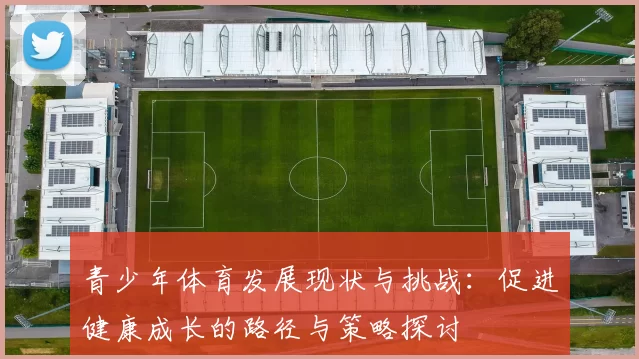 青少年体育发展现状与挑战：促进健康成长的路径与策略探讨