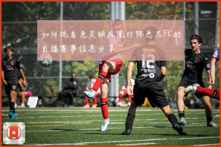 如何观看惠灵顿凤凰对阵悉尼FC的直播赛事信息分享