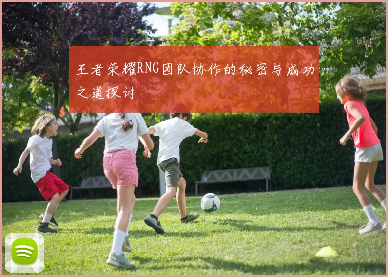 王者荣耀RNG团队协作的秘密与成功之道探讨