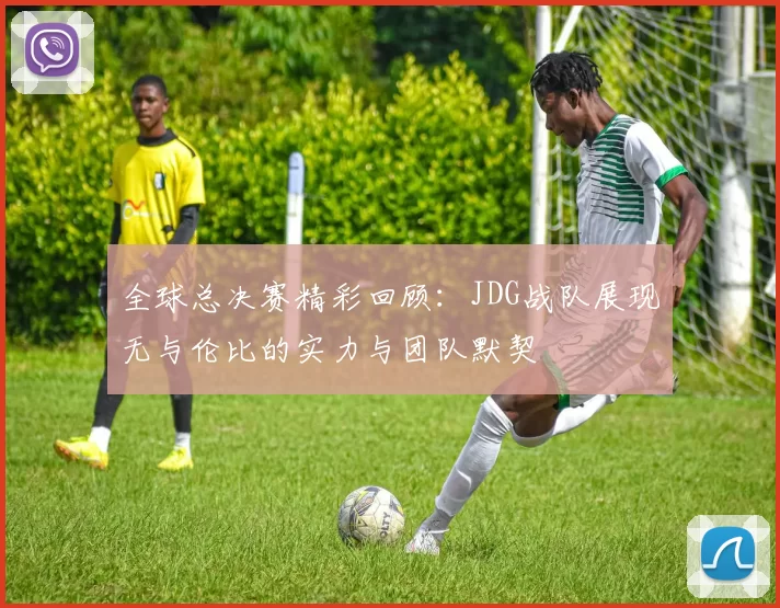 全球总决赛精彩回顾：JDG战队展现无与伦比的实力与团队默契