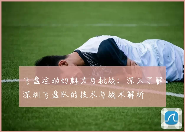 飞盘运动的魅力与挑战：深入了解深圳飞盘队的技术与战术解析