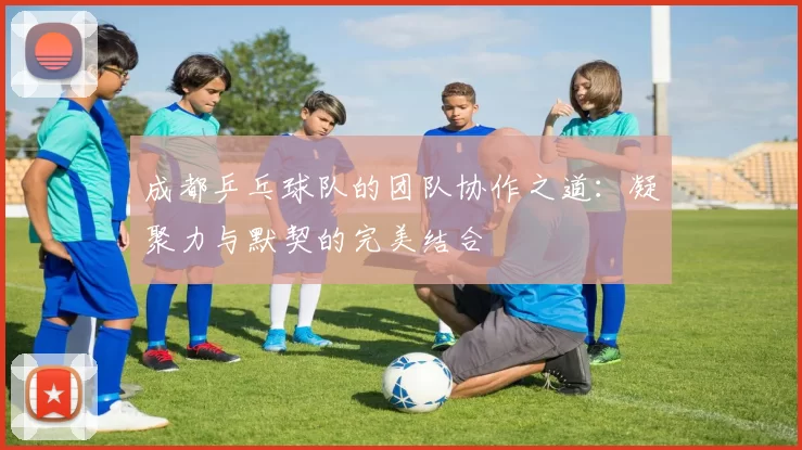 成都乒乓球队的团队协作之道：凝聚力与默契的完美结合