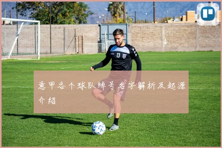 意甲各个球队绰号名字解析及起源介绍