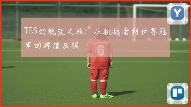 TES的蜕变之旅：从挑战者到世界冠军的辉煌历程