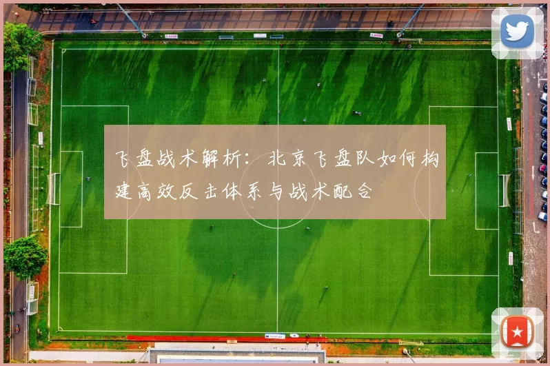 飞盘战术解析：北京飞盘队如何构建高效反击体系与战术配合