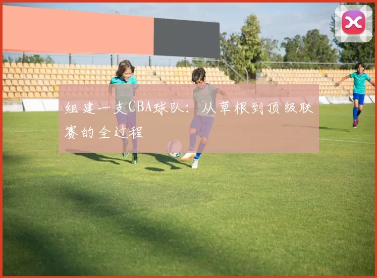 组建一支CBA球队：从草根到顶级联赛的全过程